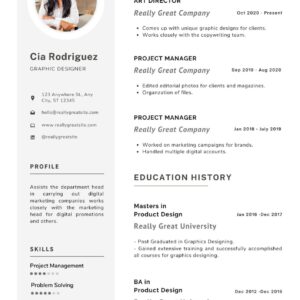 Professional and ATS compliant CV